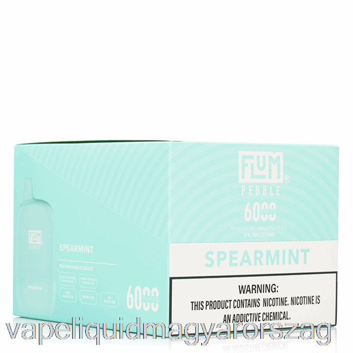 [10-es Csomag] Flum Pebble 6000 Eldobható Vape E Cigi